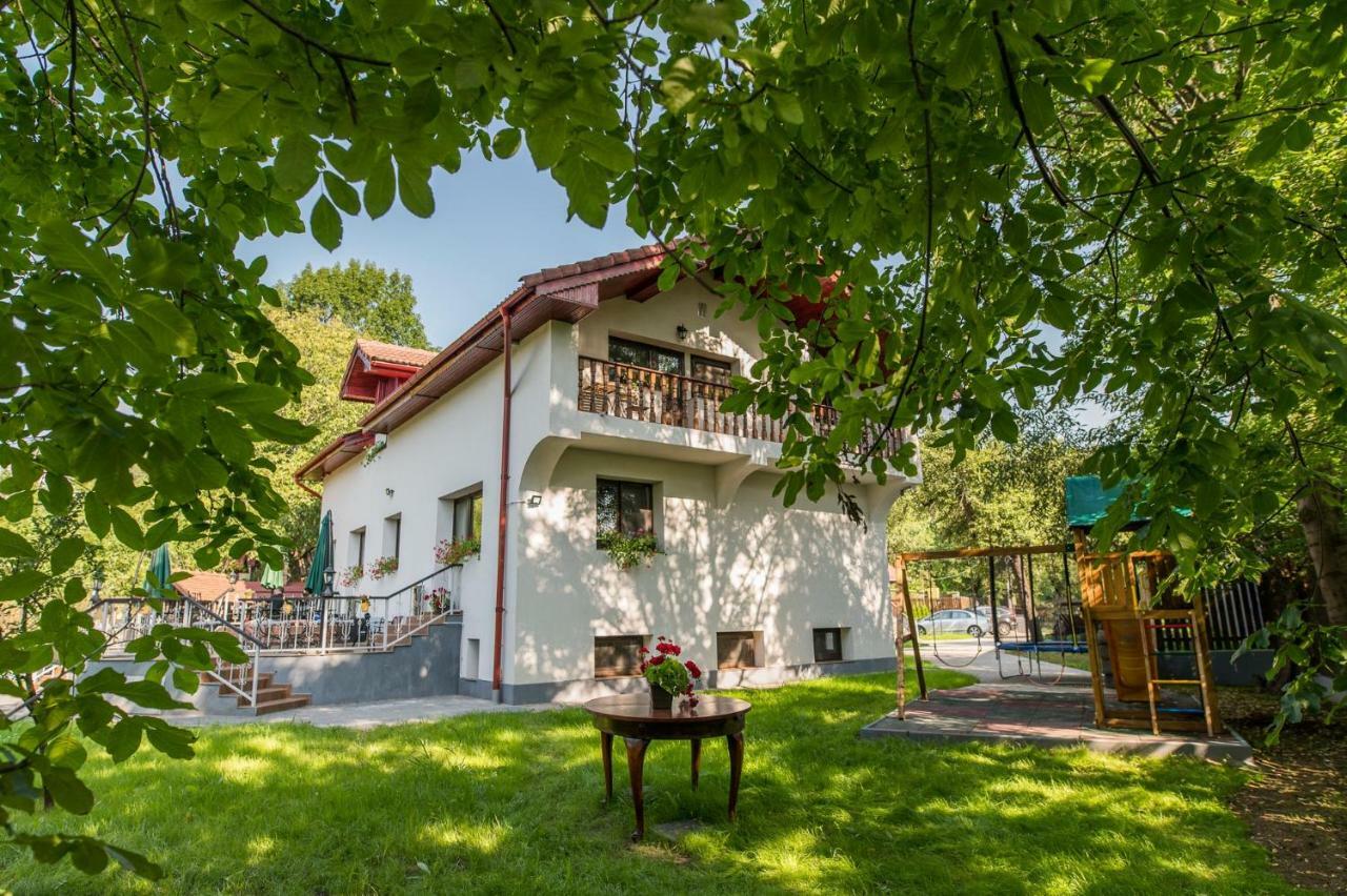 Bed and Breakfast Casa Din Plai Provita de Sus Zewnętrze zdjęcie