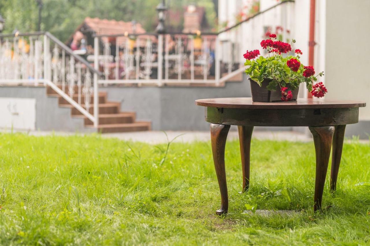 Bed and Breakfast Casa Din Plai Provita de Sus Zewnętrze zdjęcie