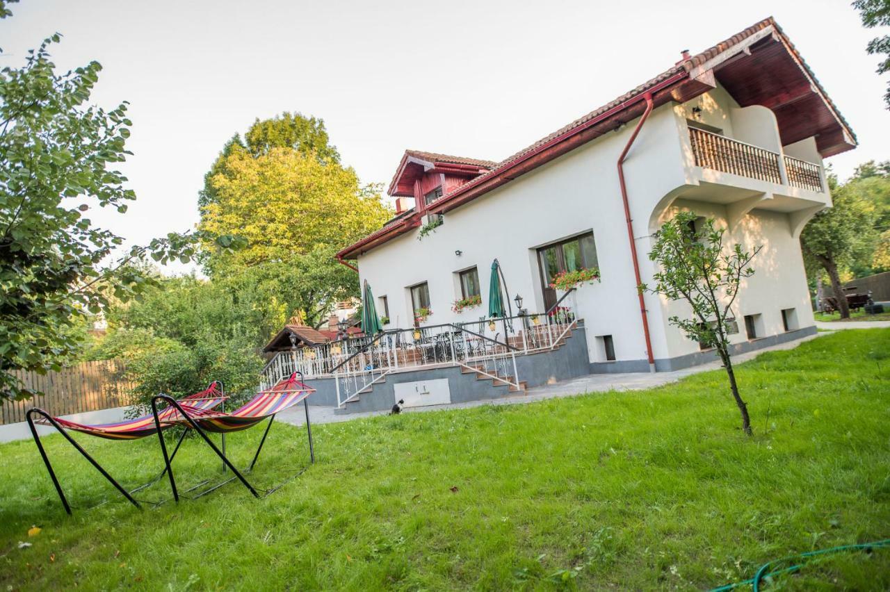 Bed and Breakfast Casa Din Plai Provita de Sus Zewnętrze zdjęcie