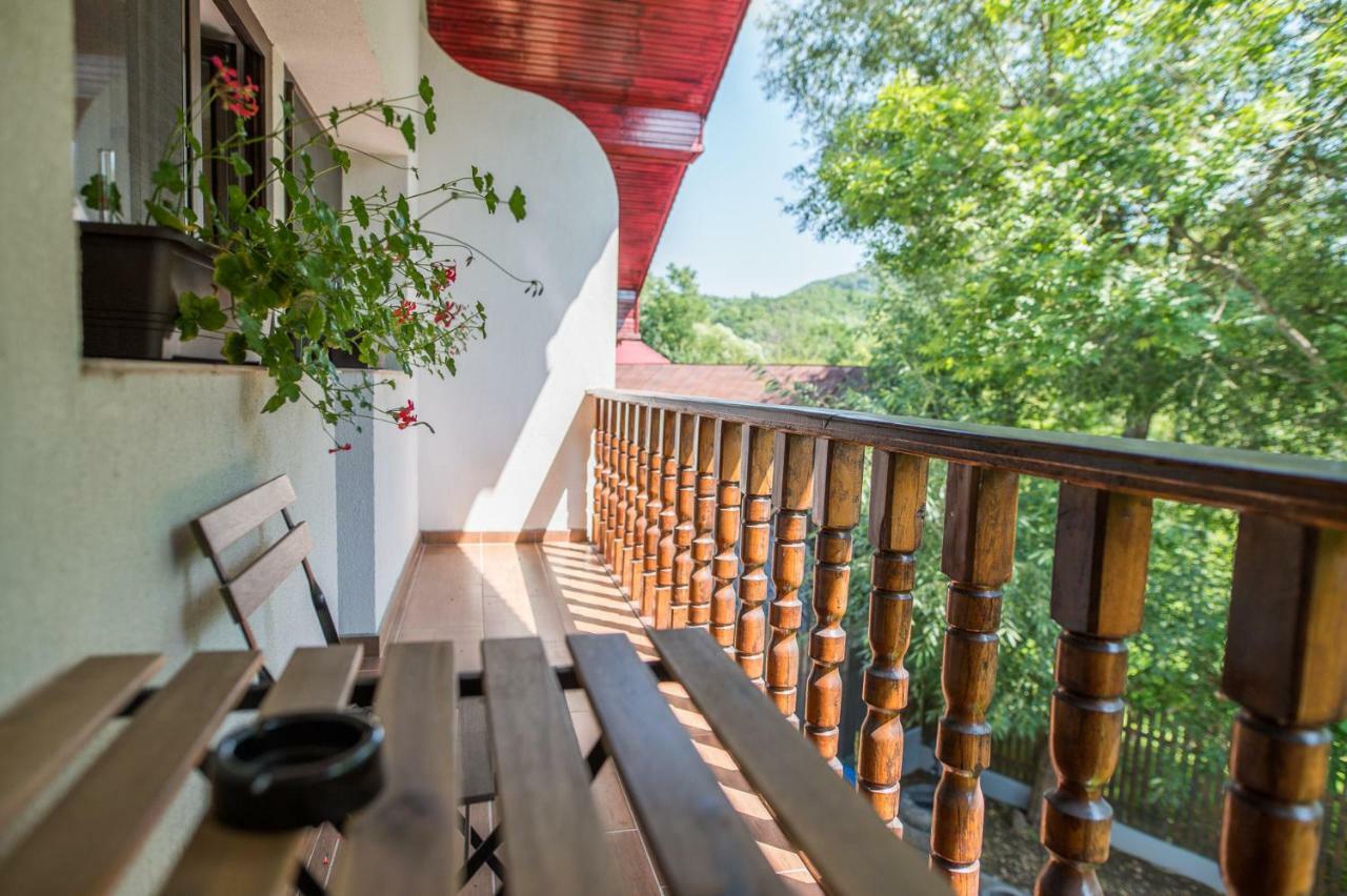 Bed and Breakfast Casa Din Plai Provita de Sus Zewnętrze zdjęcie